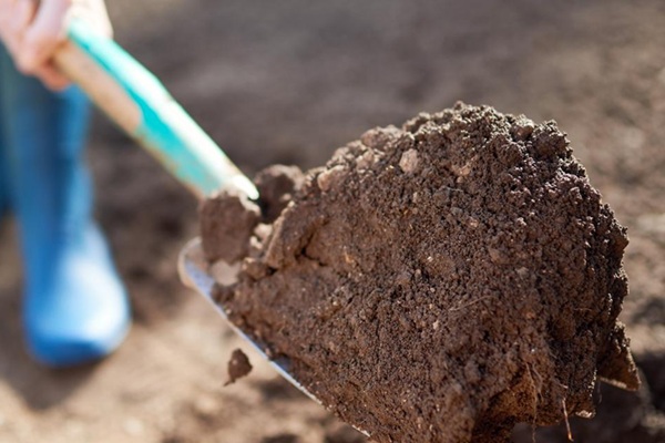 Bodem verbeteren voor aanleg gazon